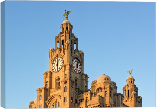 Royal Liver Building Canvas Print by Darren Galpin