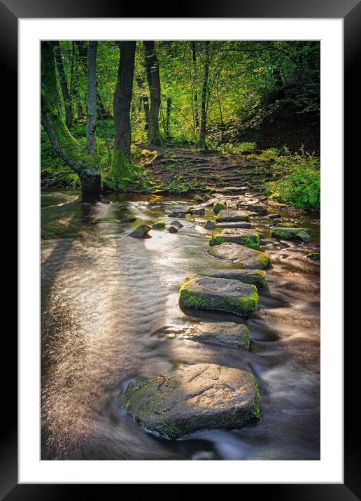 Rivelin Stepping Stones Framed Mounted Print by Darren Galpin