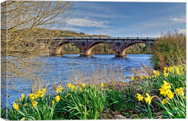 Perth Bridge and River Tay Daffodils Scotland Canvas Print by austin APPLEBY