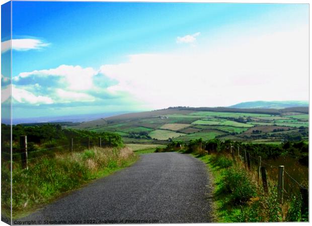 Lonely Irish road Canvas Print by Stephanie Moore