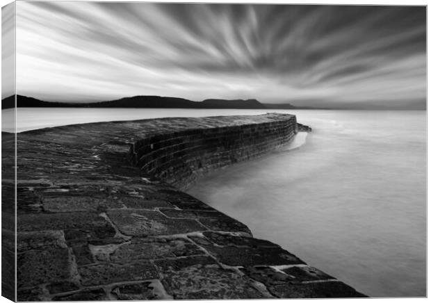 Cobb Black and White Canvas Print by David Neighbour