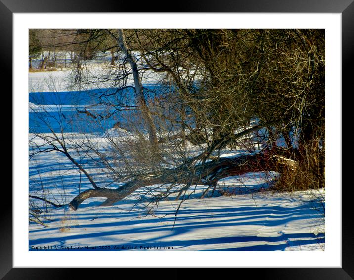 Frozen Rideau River Framed Mounted Print by Stephanie Moore