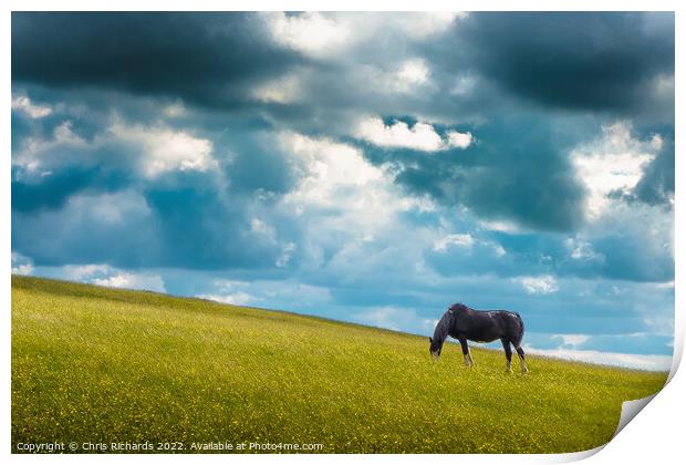 Horse Grazing on Betws Print by Chris Richards