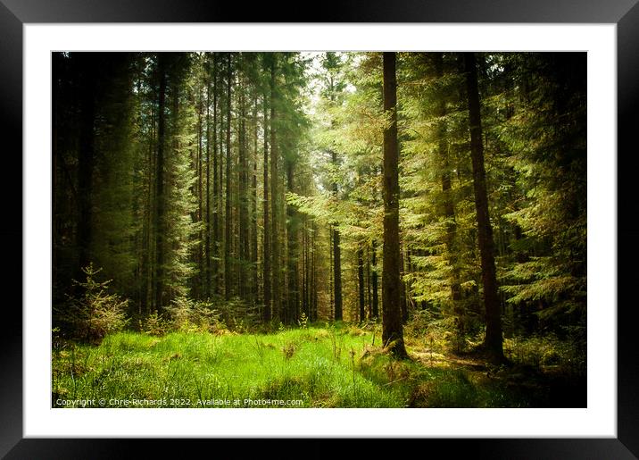 Tywi Forest Framed Mounted Print by Chris Richards