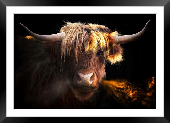 Highland Coo Framed Mounted Print by Alison Chambers