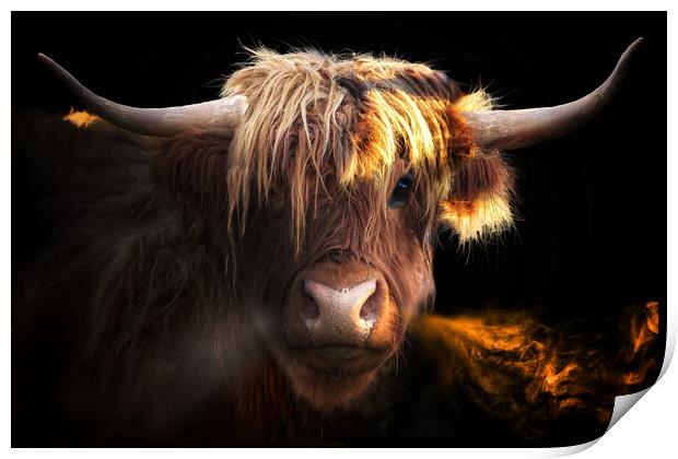 Highland Coo Print by Alison Chambers