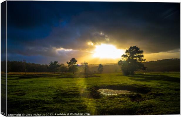 Dramatic Light on Ashdown Forest Canvas Print by Chris Richards