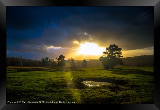 Dramatic Light on Ashdown Forest Framed Print by Chris Richards