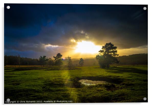 Dramatic Light on Ashdown Forest Acrylic by Chris Richards