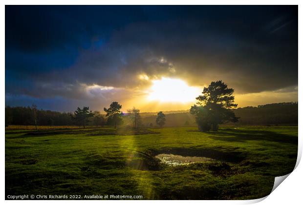 Dramatic Light on Ashdown Forest Print by Chris Richards