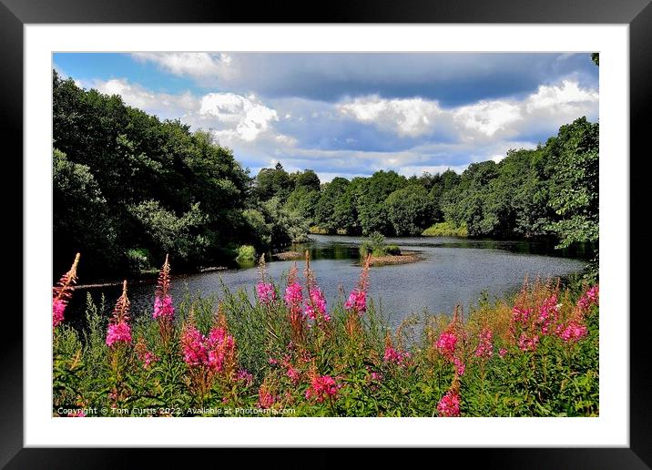 River North Tyne near Bellingham Framed Mounted Print by Tom Curtis