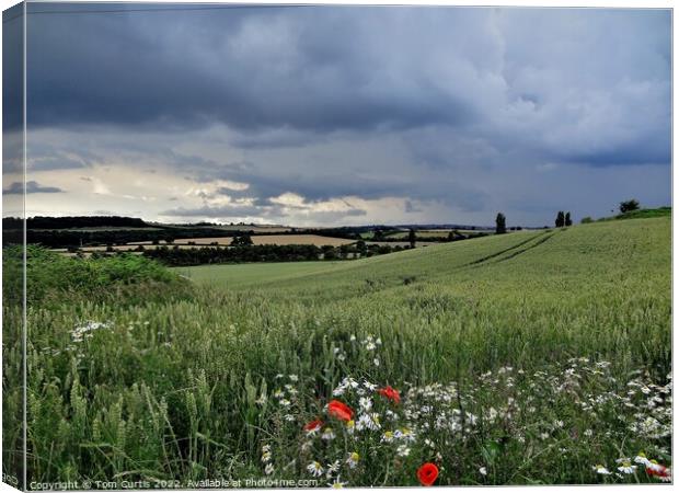 Storm Clouds at Cudworth Canvas Print by Tom Curtis