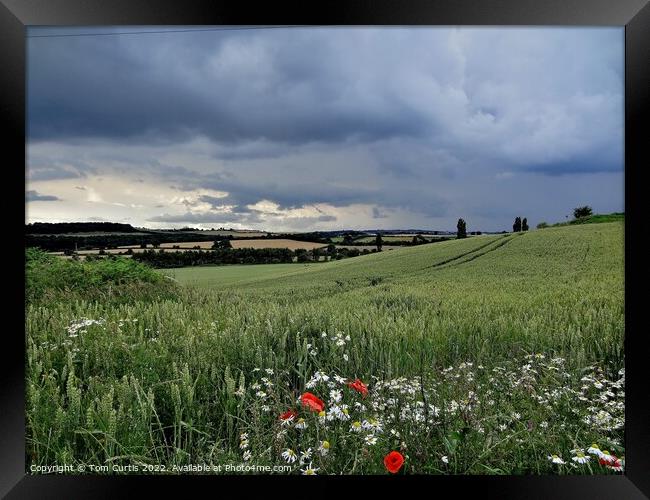 Storm Clouds at Cudworth Framed Print by Tom Curtis