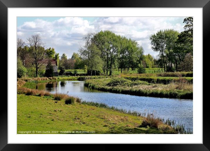 Ponds at Cusworth South Yorkshire Framed Mounted Print by Tom Curtis