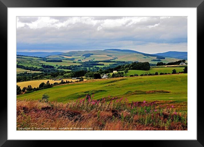 Lanscape near Selkirk Framed Mounted Print by Tom Curtis