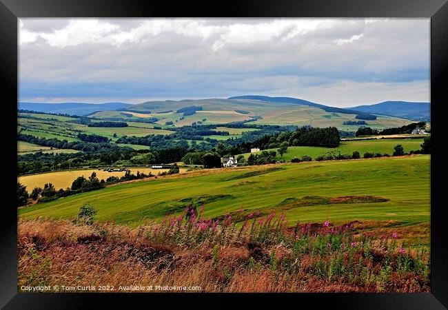 Lanscape near Selkirk Framed Print by Tom Curtis