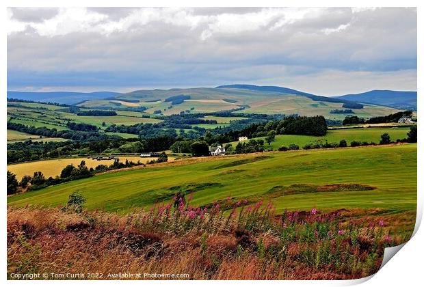 Lanscape near Selkirk Print by Tom Curtis