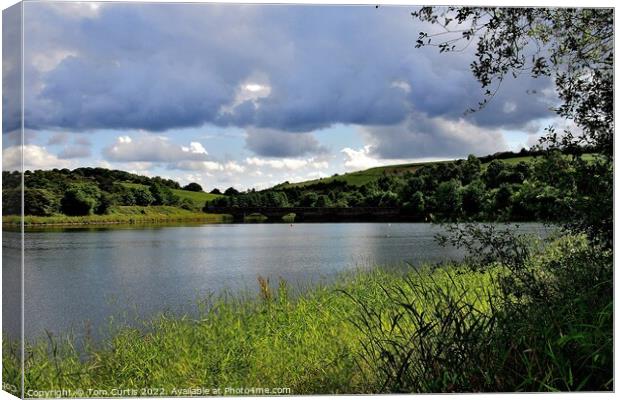 Ulley Reservoir Canvas Print by Tom Curtis