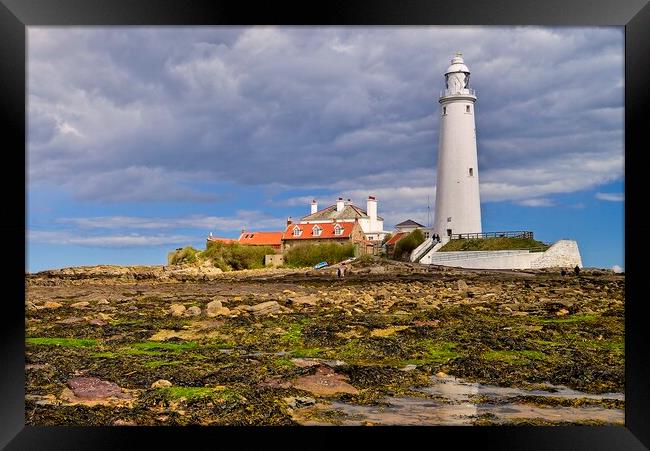 Low Tide at St. Mary's Island, Whitley Bay Framed Print by Martyn Arnold