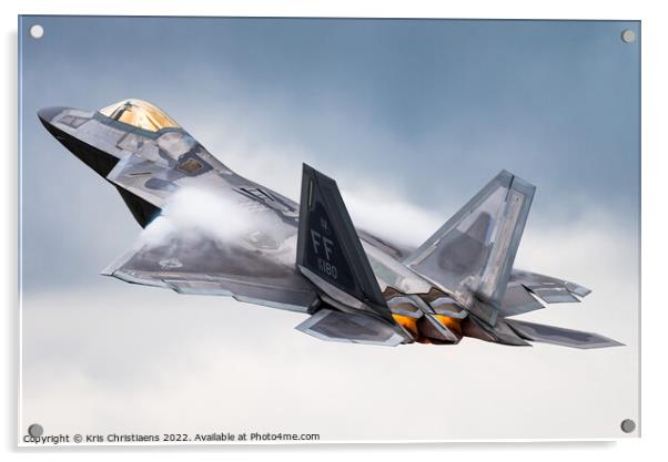 Raptor take-off Acrylic by Kris Christiaens