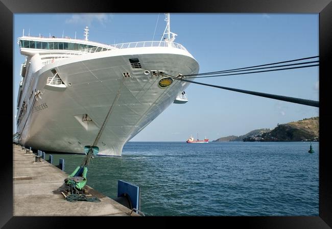 Cruise ship "Sea Princess" Framed Print by David Birchall