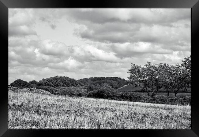 North Somerset countryside in Black and White Framed Print by Gordon Maclaren
