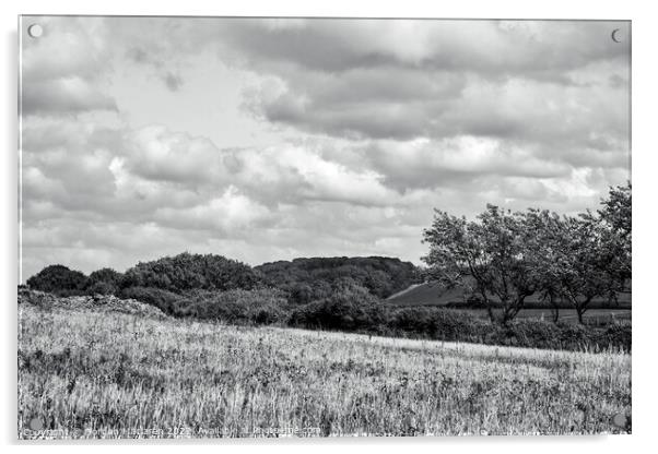 North Somerset countryside in Black and White Acrylic by Gordon Maclaren