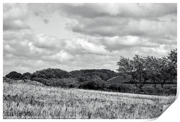 North Somerset countryside in Black and White Print by Gordon Maclaren