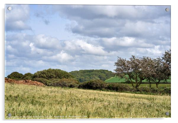 North Somerset countryside Kilve, England UK Acrylic by Gordon Maclaren