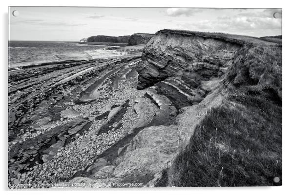 Kilve Beach Somerset England Monochrome Acrylic by Gordon Maclaren