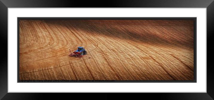 PLOUGHING THE SOUTH DOWNS Framed Mounted Print by Tony Sharp LRPS CPAGB