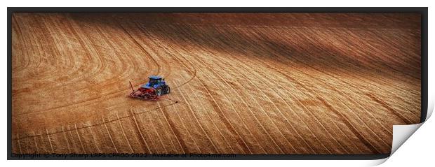 PLOUGHING THE SOUTH DOWNS Print by Tony Sharp LRPS CPAGB