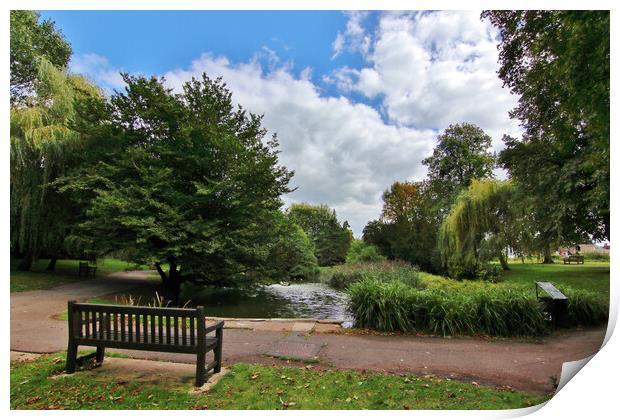 Hatherley Park Print by Susan Snow