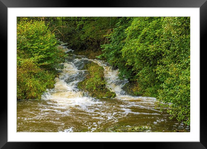 Un-named Tributary of the River Lune Firbank Cumbria Framed Mounted Print by Nick Jenkins