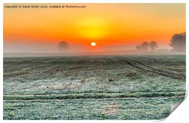 winter sunrise over a frozen field Print by David Smith