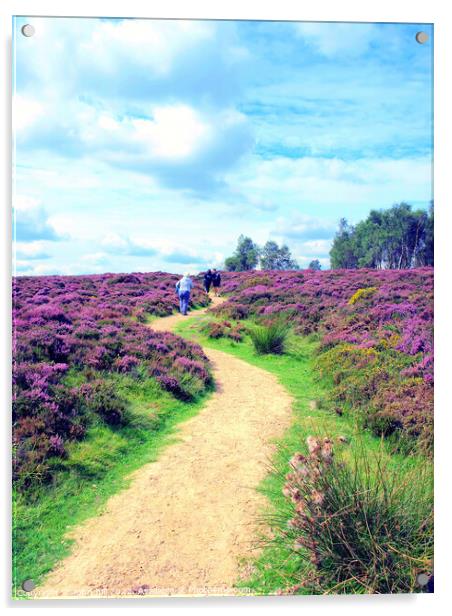 Flowering heather walk. Acrylic by john hill