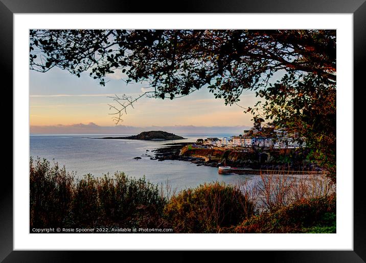 Looe island view  Framed Mounted Print by Rosie Spooner