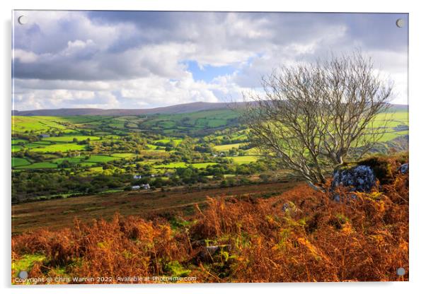 Carningli Mountain Preseli hills Pembrokeshire Acrylic by Chris Warren