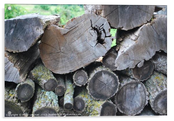 Old wood pile Acrylic by Philip Lehman