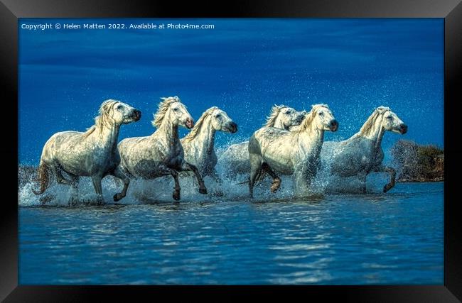 Wild White Horses Water Blue Framed Print by Helkoryo Photography