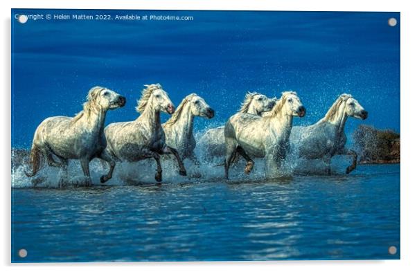 Wild White Horses Water Blue Acrylic by Helkoryo Photography