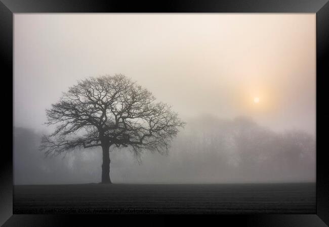 Tree silhouette in the fog Framed Print by Keith Douglas