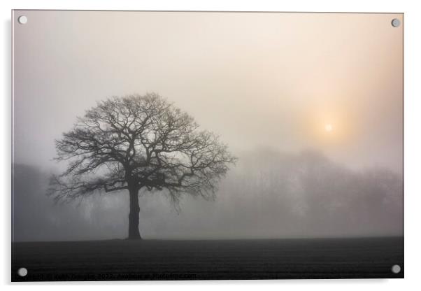 Tree silhouette in the fog Acrylic by Keith Douglas