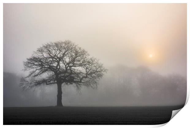 Tree silhouette in the fog Print by Keith Douglas