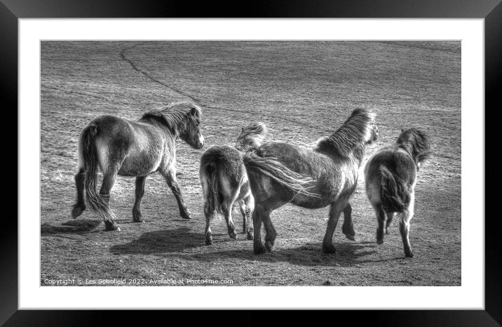Exmoor Ponies Framed Mounted Print by Les Schofield