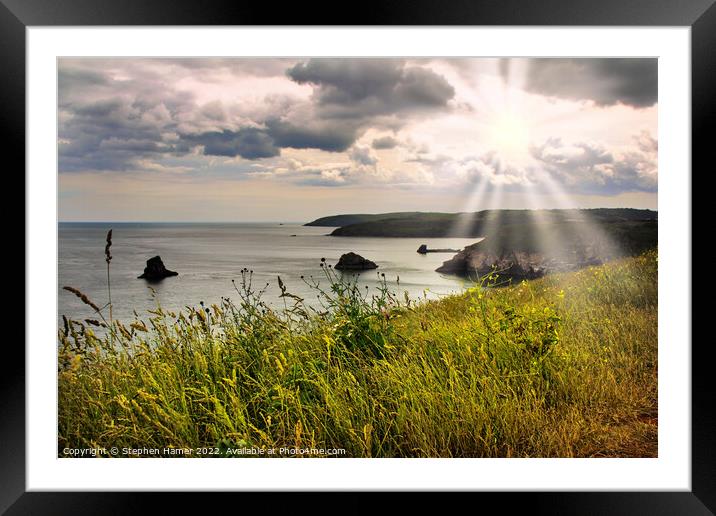 South Devon Coast Framed Mounted Print by Stephen Hamer