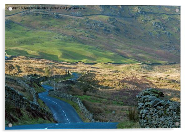 Road from Troutbeck to Kirkstone Pass Cumbria Acrylic by Nick Jenkins