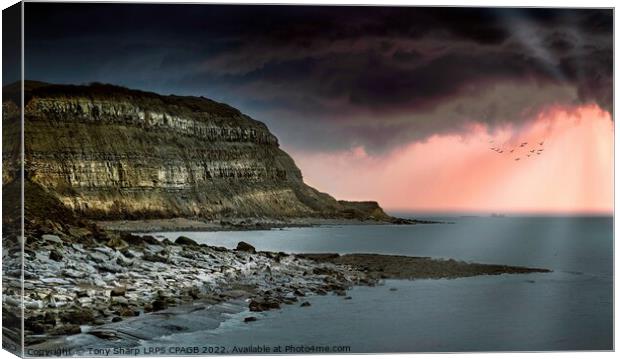 SUNLIGHT ON HASTINGS' CLIFFS Canvas Print by Tony Sharp LRPS CPAGB