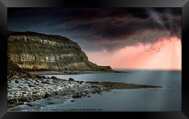 SUNLIGHT ON HASTINGS' CLIFFS Framed Print by Tony Sharp LRPS CPAGB