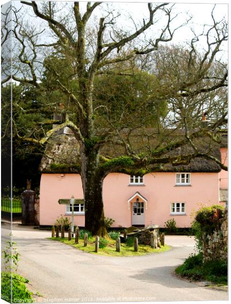 Pink Thatched Cottage Canvas Print by Stephen Hamer